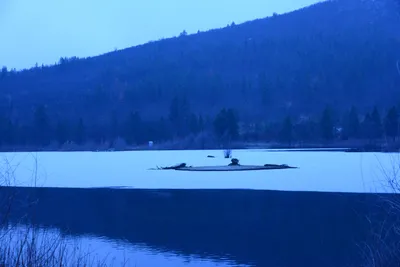 DSC_1121 (Large).JPG